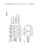 CHIMERIC ADENO-ASSOCIATED VIRUS/ BOCAVIRUS PARVOVIRUS VECTOR diagram and image