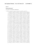 CHIMERIC ADENO-ASSOCIATED VIRUS/ BOCAVIRUS PARVOVIRUS VECTOR diagram and image