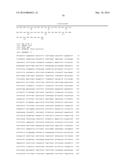 CHIMERIC ADENO-ASSOCIATED VIRUS/ BOCAVIRUS PARVOVIRUS VECTOR diagram and image