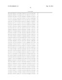 CHIMERIC ADENO-ASSOCIATED VIRUS/ BOCAVIRUS PARVOVIRUS VECTOR diagram and image