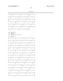 CHIMERIC ADENO-ASSOCIATED VIRUS/ BOCAVIRUS PARVOVIRUS VECTOR diagram and image