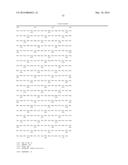 CHIMERIC ADENO-ASSOCIATED VIRUS/ BOCAVIRUS PARVOVIRUS VECTOR diagram and image