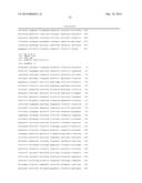 CHIMERIC ADENO-ASSOCIATED VIRUS/ BOCAVIRUS PARVOVIRUS VECTOR diagram and image