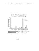 RECOMBINANT VIRUS AND PREPARATIONS THEREOF diagram and image