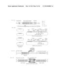 RECOMBINANT VIRUS AND PREPARATIONS THEREOF diagram and image