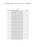 RECOMBINANT VIRUS AND PREPARATIONS THEREOF diagram and image