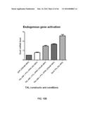 RECOMBINANT VIRUS AND PREPARATIONS THEREOF diagram and image