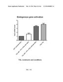 RECOMBINANT VIRUS AND PREPARATIONS THEREOF diagram and image