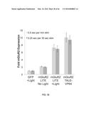 RECOMBINANT VIRUS AND PREPARATIONS THEREOF diagram and image