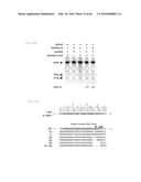 RECOMBINANT VIRUS AND PREPARATIONS THEREOF diagram and image