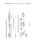 RECOMBINANT VIRUS AND PREPARATIONS THEREOF diagram and image