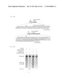 RECOMBINANT VIRUS AND PREPARATIONS THEREOF diagram and image