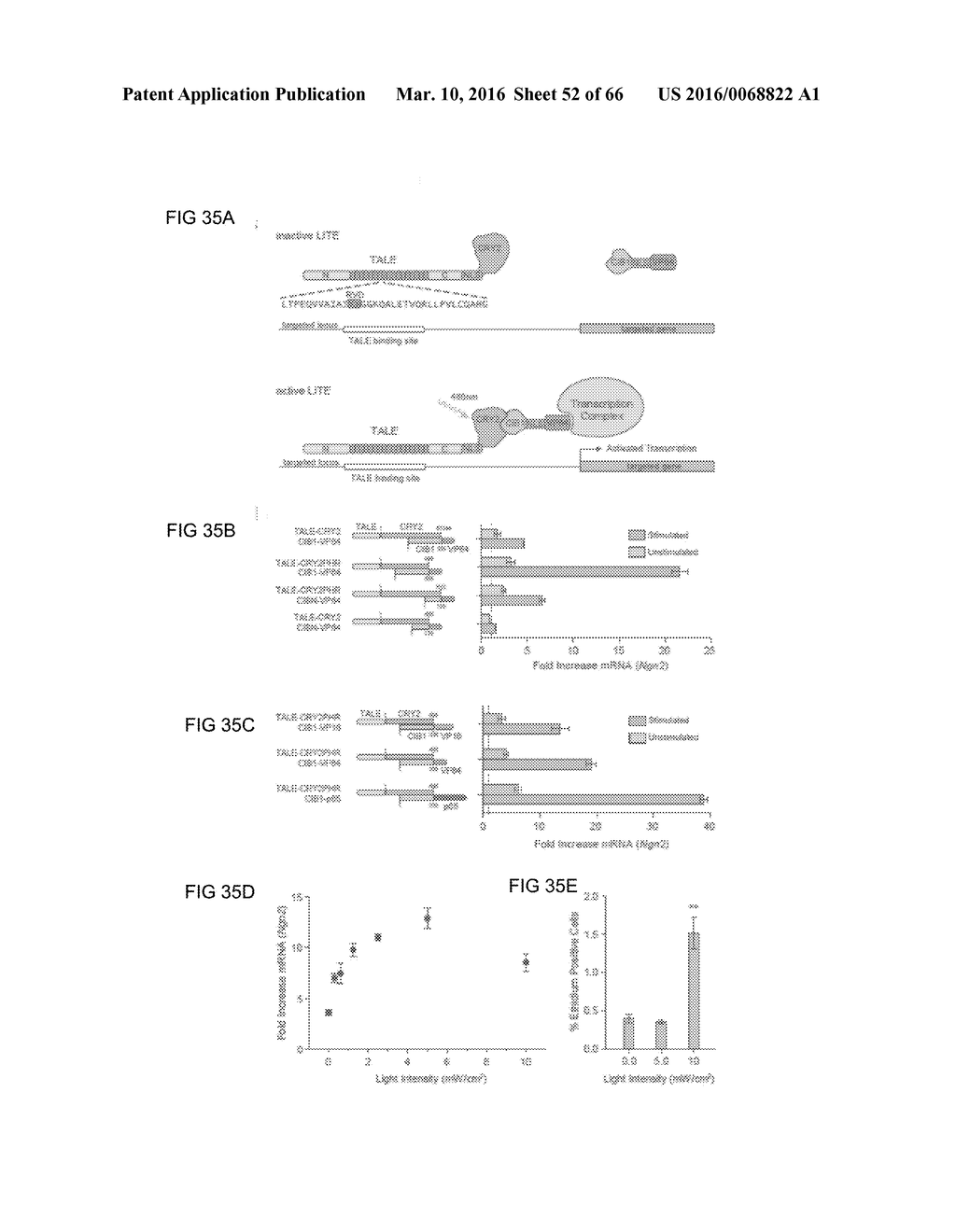 RECOMBINANT VIRUS AND PREPARATIONS THEREOF - diagram, schematic, and image 53