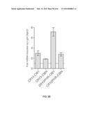 RECOMBINANT VIRUS AND PREPARATIONS THEREOF diagram and image