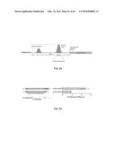 RECOMBINANT VIRUS AND PREPARATIONS THEREOF diagram and image