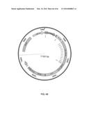 RECOMBINANT VIRUS AND PREPARATIONS THEREOF diagram and image