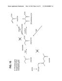 PRODUCING ALPHA-OLEFINS USING POLYKETIDE SYNTHASES diagram and image