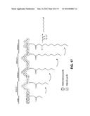 PRODUCING ALPHA-OLEFINS USING POLYKETIDE SYNTHASES diagram and image