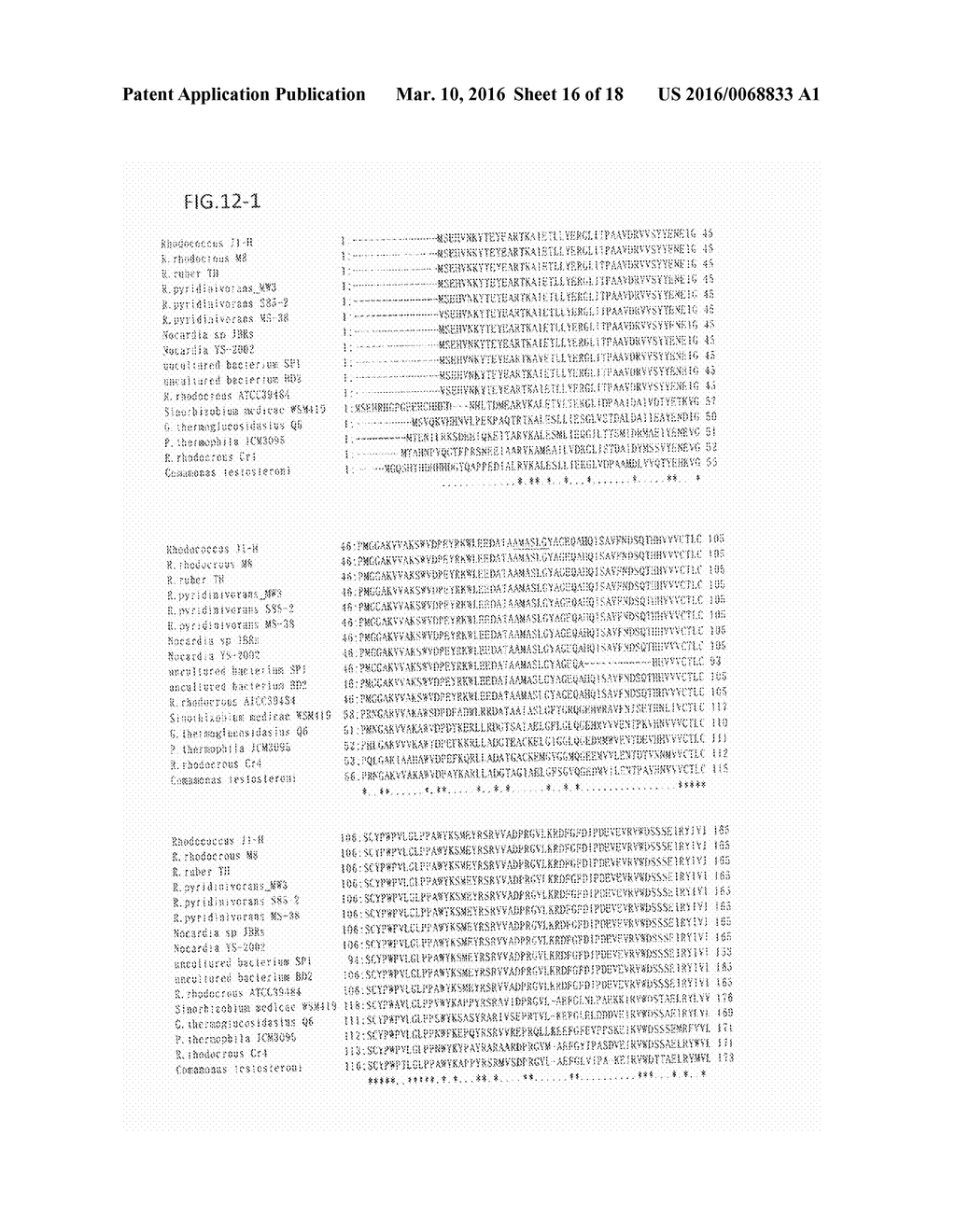 NITRILE HYDRATASE - diagram, schematic, and image 17