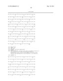 INCREASING PLANT GROWTH BY MODULATING OMEGA-AMIDASE EXPRESSION IN PLANTS diagram and image