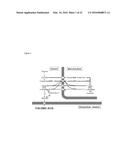 NOVEL ORGANIC ACID PATHWAY diagram and image