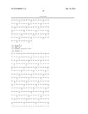 NOVEL ORGANIC ACID PATHWAY diagram and image