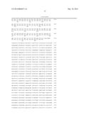 NOVEL ORGANIC ACID PATHWAY diagram and image