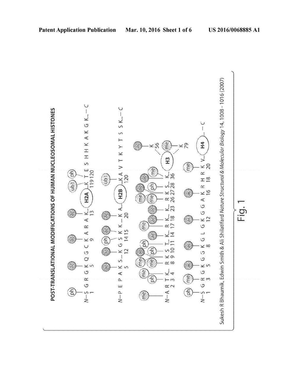 AGENTS PROVIDING CONTROLS AND STANDARDS FOR IMMUNOPRECIPITATION ASSAYS - diagram, schematic, and image 02