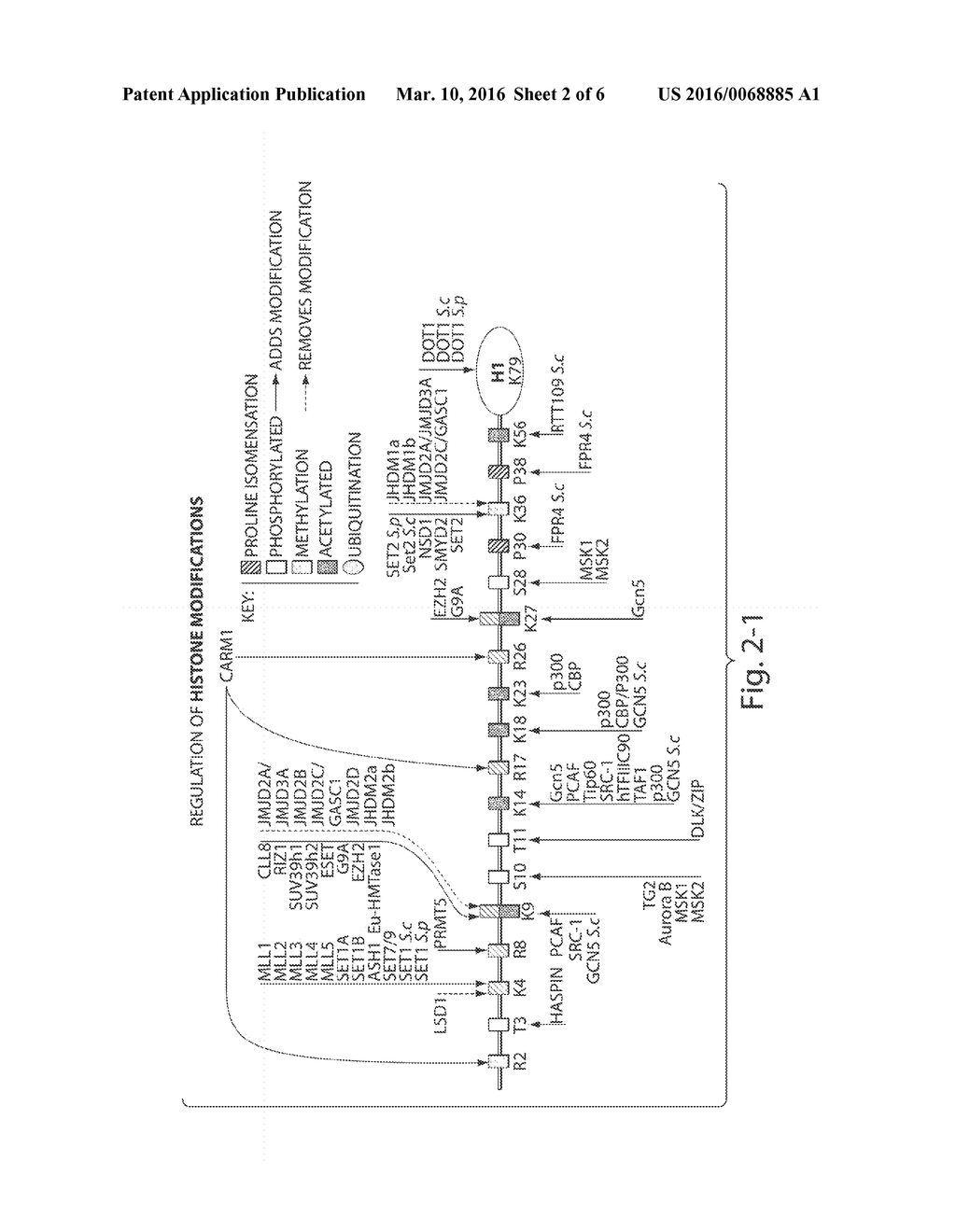 AGENTS PROVIDING CONTROLS AND STANDARDS FOR IMMUNOPRECIPITATION ASSAYS - diagram, schematic, and image 03