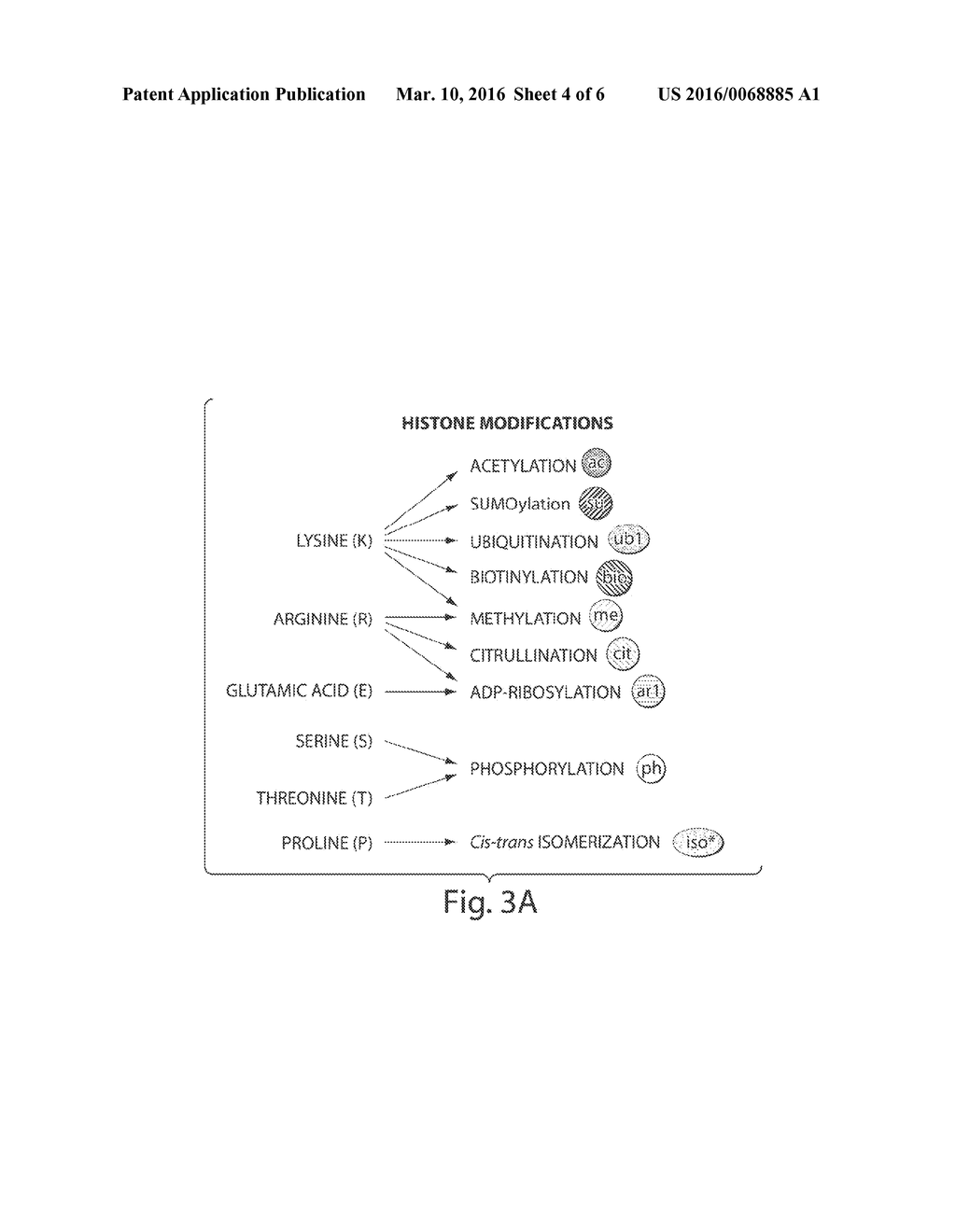 AGENTS PROVIDING CONTROLS AND STANDARDS FOR IMMUNOPRECIPITATION ASSAYS - diagram, schematic, and image 05