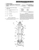 MAIN VALVE WITH INTERNAL RIGID STRUCTURE diagram and image