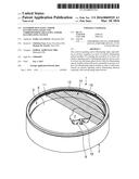 EXTERIOR SIGNALING AND/OR ILLUMINATING LIGHT AND CORRESPONDING SIGNALING     AND/OR ILLUMINATING SYSTEM diagram and image