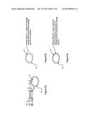 DESIGN AND METHOD FOR THE MANUFACTURE OF POLYMER CARTRIDGE CASE RIMFIRE     SMALL ARMS AMMUNITION diagram and image