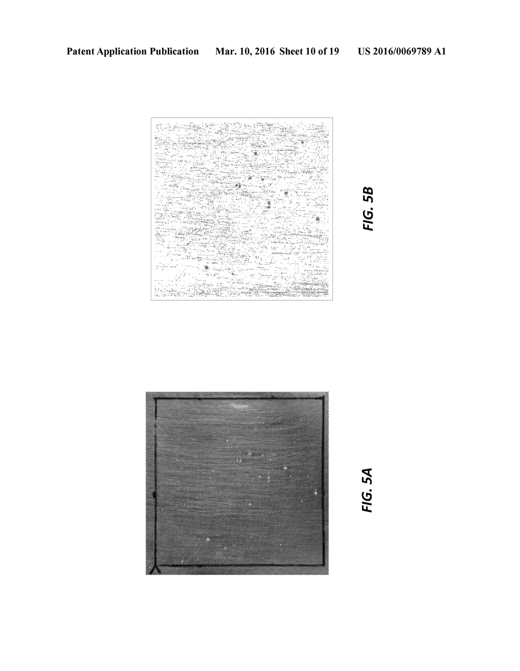 System, Apparatus Or Method For Characterizing Pitting Corrosion - diagram, schematic, and image 11