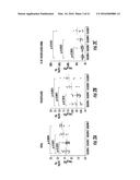 BIOMARKERS FOR DISTINGUISHING BETWEEN AGGRESSIVE PROSTATE CANCER AND     NON-AGGRESSIVE PROSTATE CANCER diagram and image