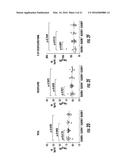 BIOMARKERS FOR DISTINGUISHING BETWEEN AGGRESSIVE PROSTATE CANCER AND     NON-AGGRESSIVE PROSTATE CANCER diagram and image