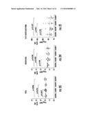 BIOMARKERS FOR DISTINGUISHING BETWEEN AGGRESSIVE PROSTATE CANCER AND     NON-AGGRESSIVE PROSTATE CANCER diagram and image