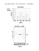 BIOMARKERS FOR DISTINGUISHING BETWEEN AGGRESSIVE PROSTATE CANCER AND     NON-AGGRESSIVE PROSTATE CANCER diagram and image