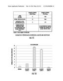 BIOMARKERS FOR DISTINGUISHING BETWEEN AGGRESSIVE PROSTATE CANCER AND     NON-AGGRESSIVE PROSTATE CANCER diagram and image