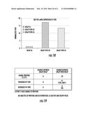 BIOMARKERS FOR DISTINGUISHING BETWEEN AGGRESSIVE PROSTATE CANCER AND     NON-AGGRESSIVE PROSTATE CANCER diagram and image