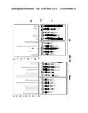 BIOMARKERS FOR DISTINGUISHING BETWEEN AGGRESSIVE PROSTATE CANCER AND     NON-AGGRESSIVE PROSTATE CANCER diagram and image