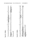 Detection of Early-Stage Pancreatic Adenocarcinoma diagram and image