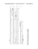 Detection of Early-Stage Pancreatic Adenocarcinoma diagram and image