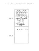 Detection of Early-Stage Pancreatic Adenocarcinoma diagram and image