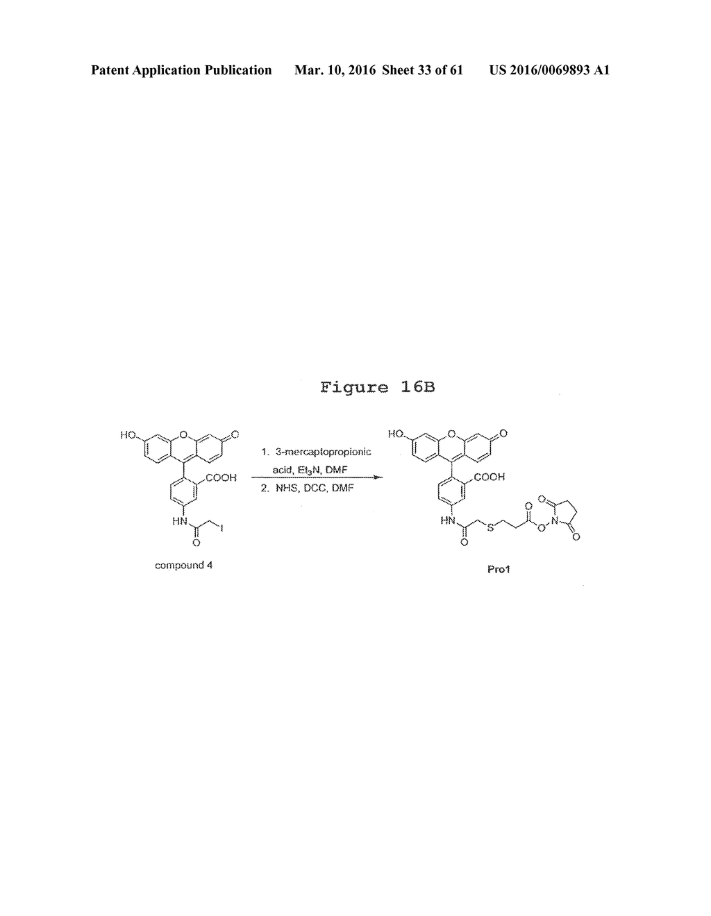 Methods and Compositions for Analyzing Proteins - diagram, schematic, and image 34