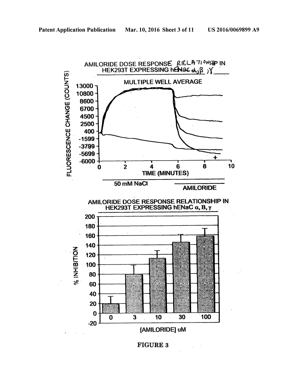 Electrophysiological assays using oocytes that express human enac and the     use of phenamil to improve the effect of enac enhancers in assays using     membrane potential reporting dyes - diagram, schematic, and image 04