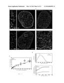 METHOD FOR DETECTING CELLS diagram and image