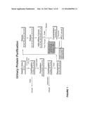 Methods for Early Diagnosis of Kidney Disease diagram and image