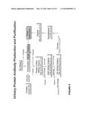 Methods for Early Diagnosis of Kidney Disease diagram and image