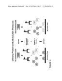 Methods for Early Diagnosis of Kidney Disease diagram and image